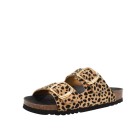 ΓΥΝΑΙΚΕΙΑ SLIPPERS ΛΕΟΠΑΡ SCHOLL F30067 1850 380 NOELLE ΓΥΝΑΙΚΕΙΑ SLIPPERS ΛΕΟΠΑΡ SCHOLL F30067 1850 380 NOELLE